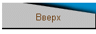 Вверх